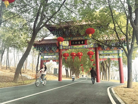 图片5 图片5