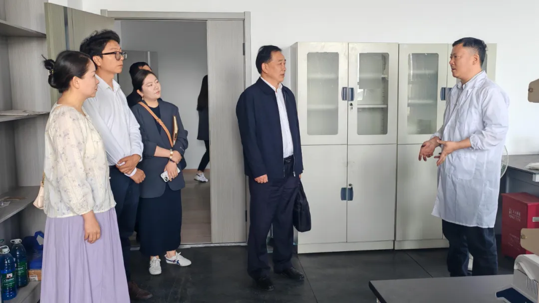 科创城 科创城